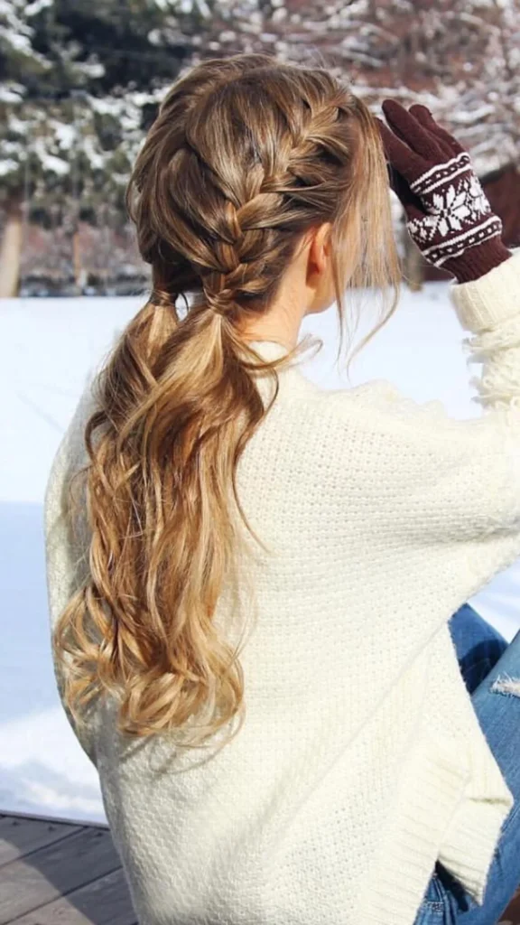 Double French Braid Pigtails