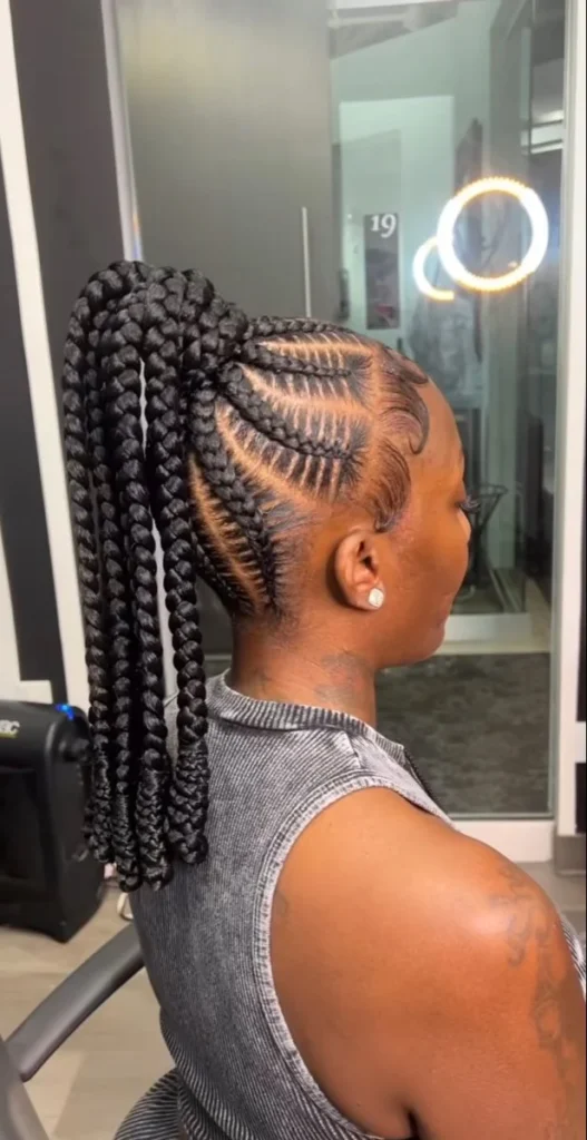 Classic Stitch Braid Ponytail