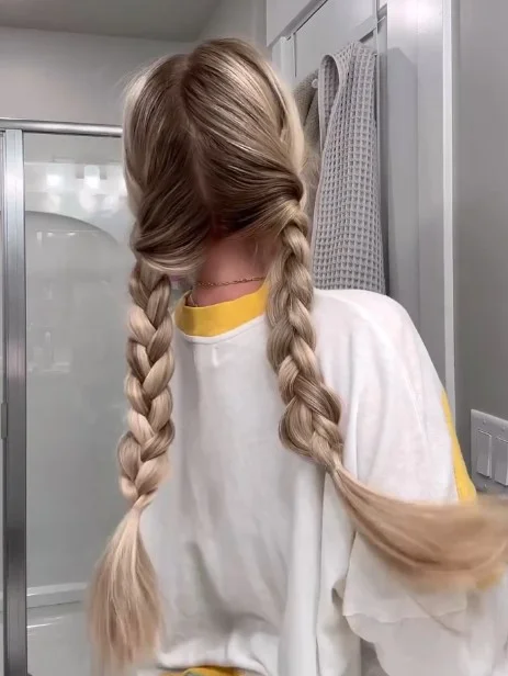 Classic Two Braided Pigtails