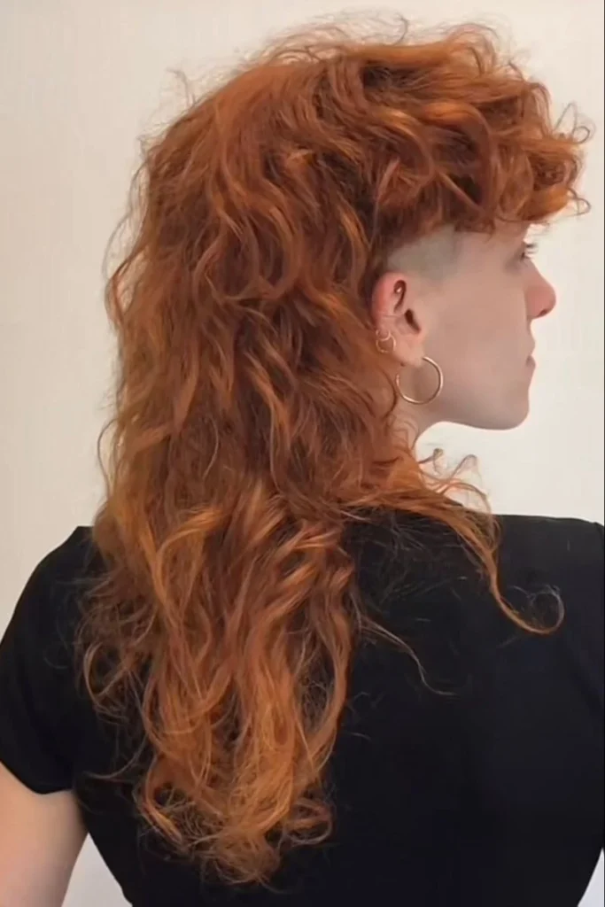 15 Wolf Cut Curly Hair Looks You’ll Love 25 Tapered Curly Wolf Cut