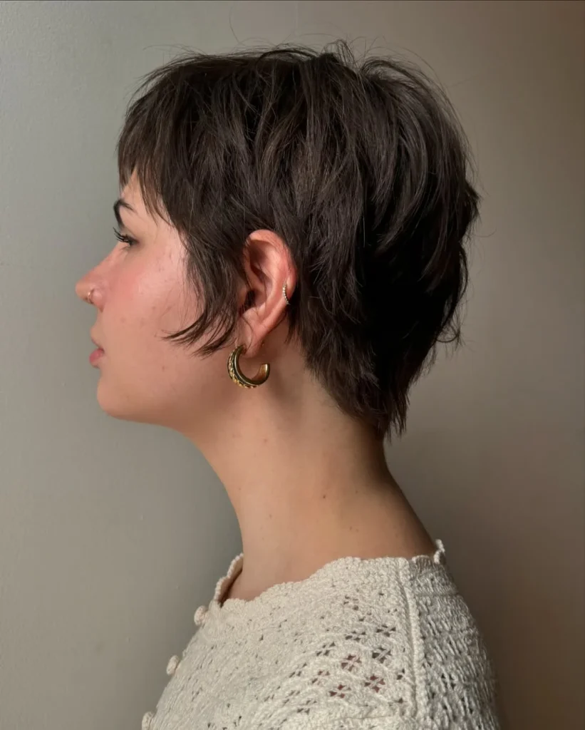Pixie Bob with Wispy Ends