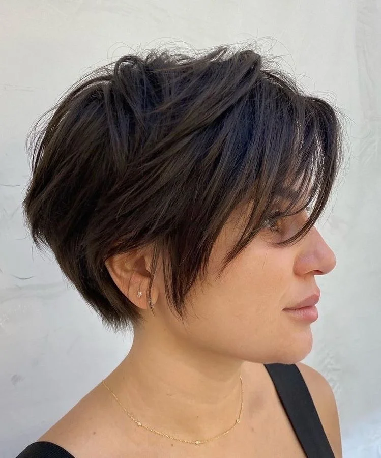 Soft Pixie Bob