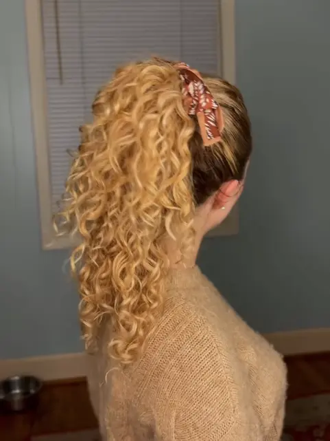 Voluminous Curly High Ponytail