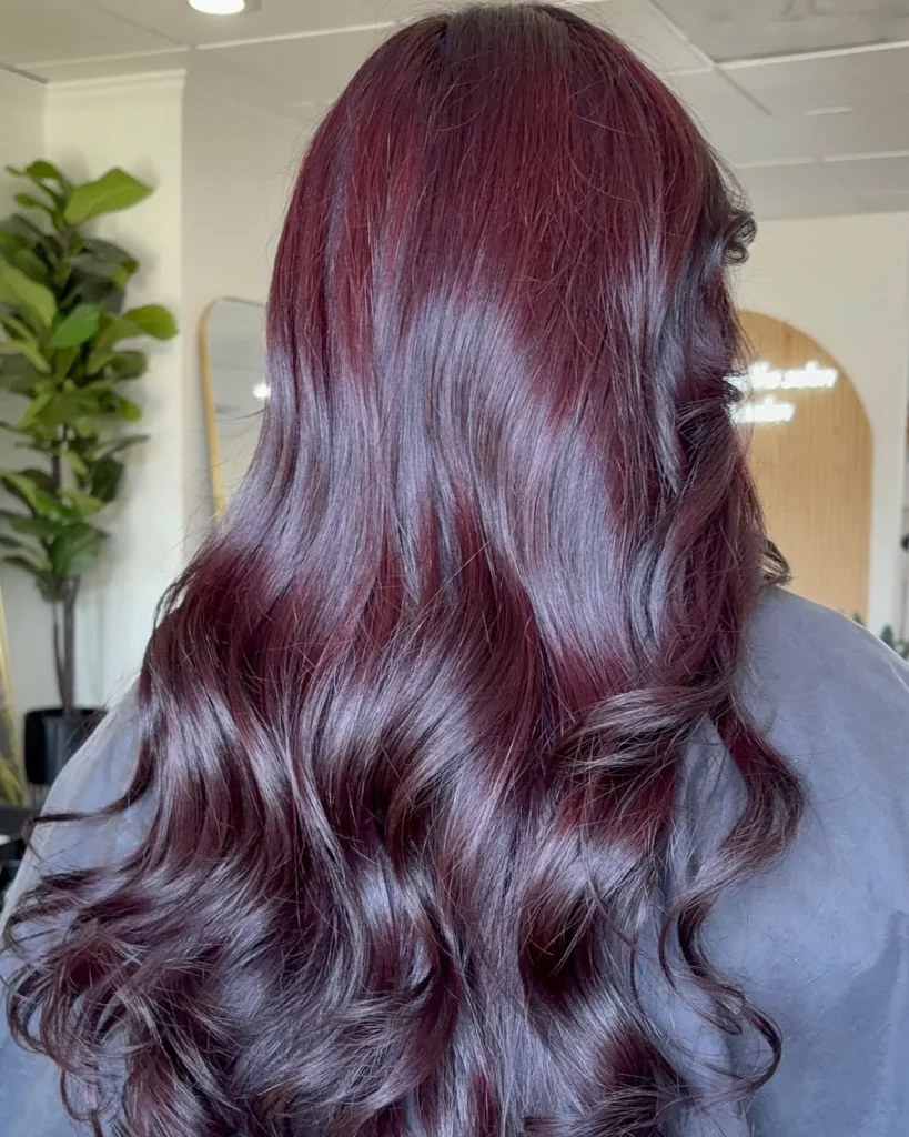 Glossy Black Cherry Hair