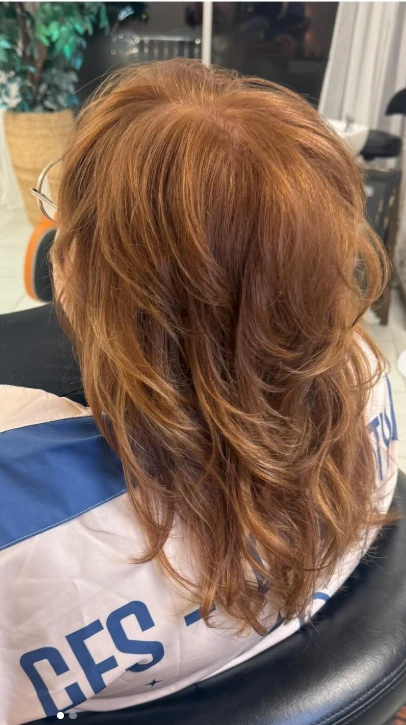 Shaggy Long Kitty Cut