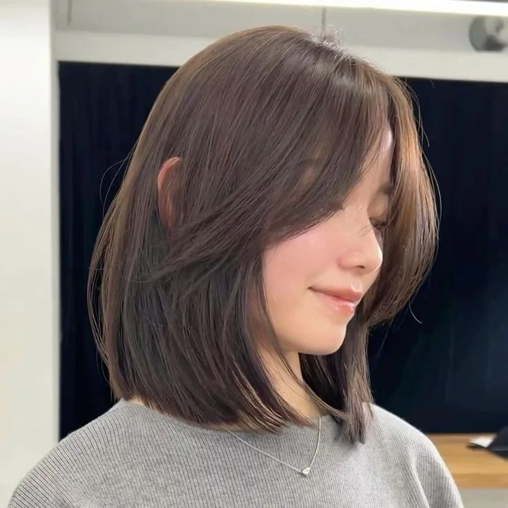Korean Puffy Crown Haircut