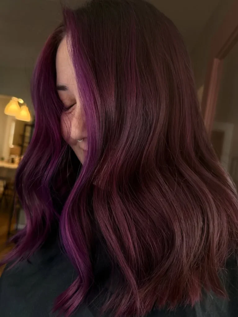 Purple Highlights on Dark Brown