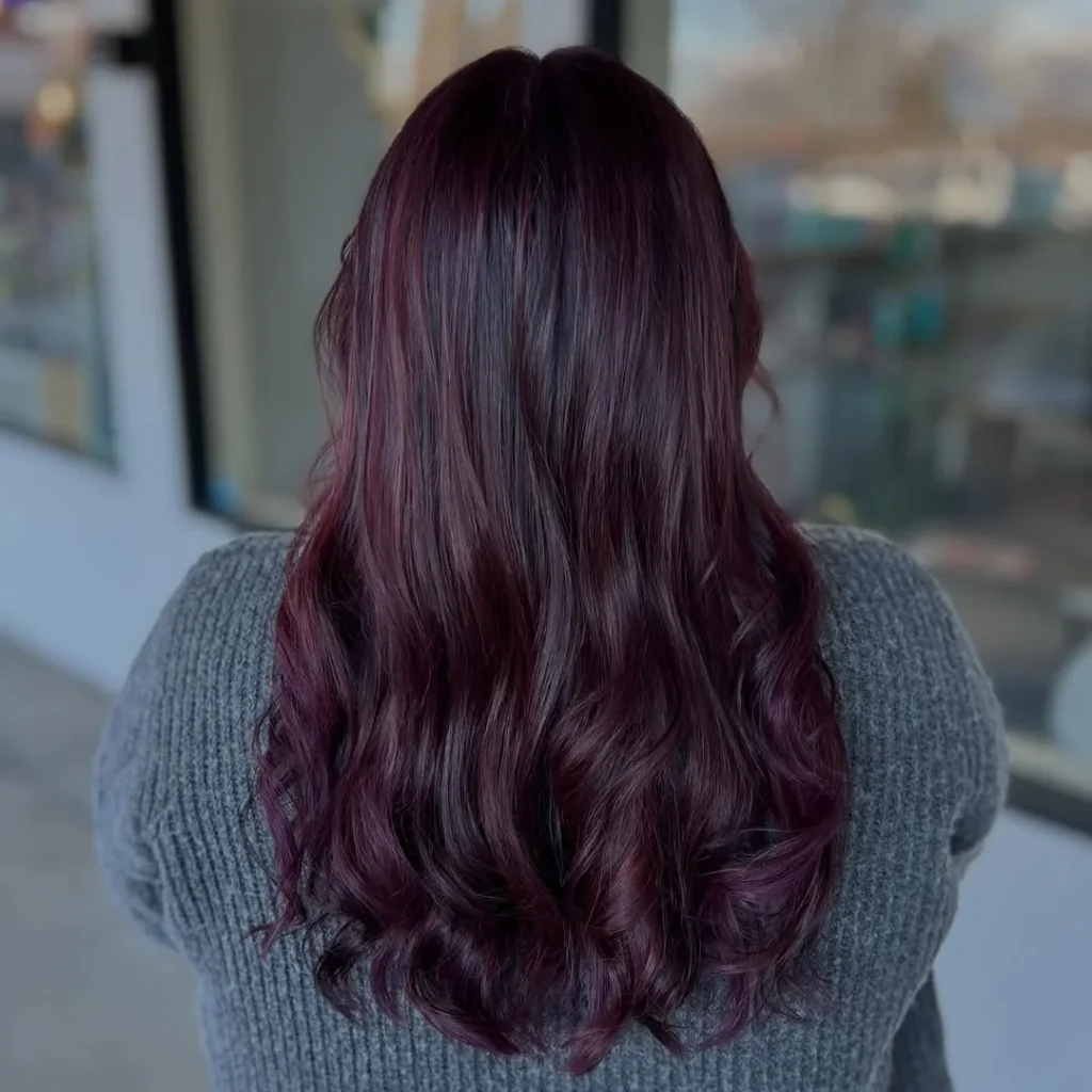 Dark Purple Balayage Highlights